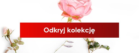 Odkryj kolekcję