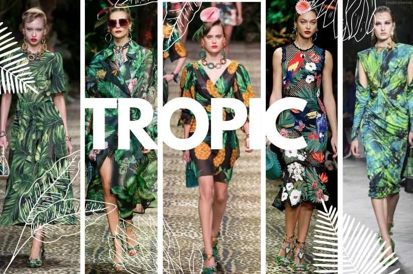 tropikalne wzory jak nosić