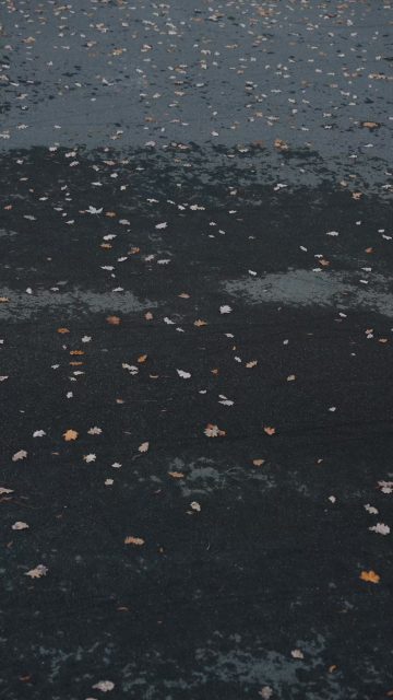 Black Friday is ON, girls. 🔥 Ceny spadły, vibe wzrósł.
Ready to slay? 🖤